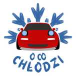Auto klimatyzacja r134a/r1234yf Elbląg Napełnianie Odgrzybianie