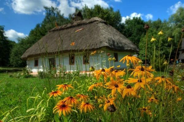 Прийму в дар домик в селе, деревне, общине, поселении.