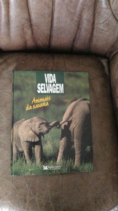8 Livros novos 10 euros cada das seleções