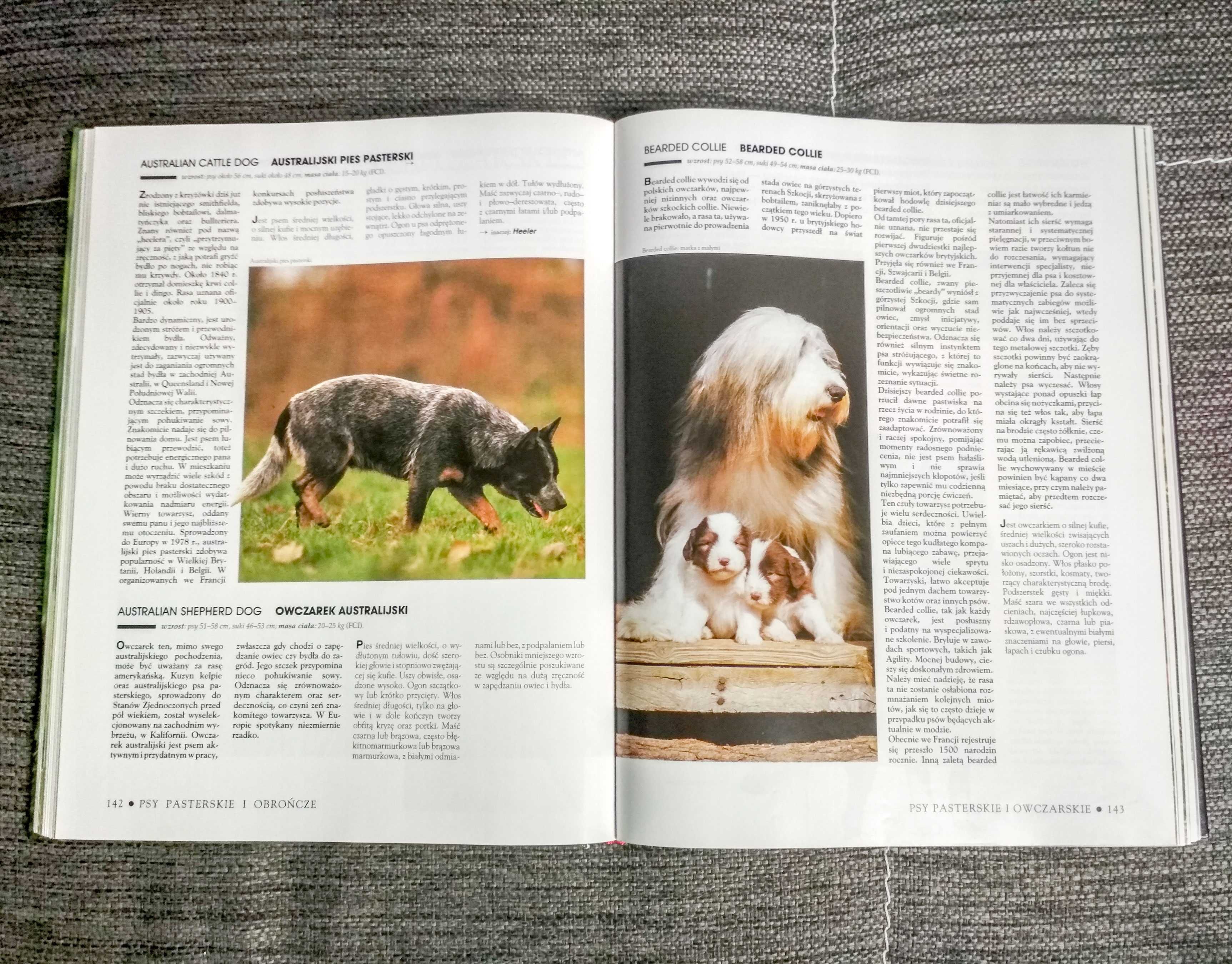 Pies - Larousse • Encyklopedia (Pierre Rousselet-Blanc)