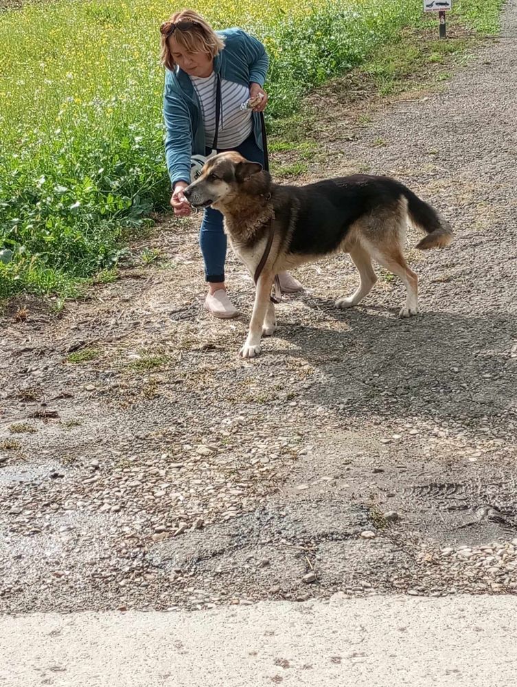 Kto pokocha cudownego Hugo?