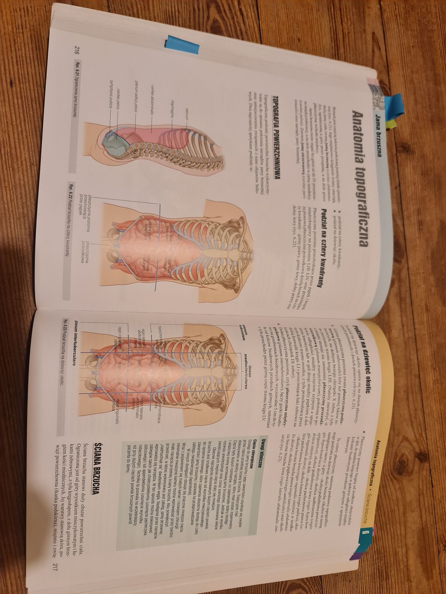 Anatomia Gray podręcznik dla studentów