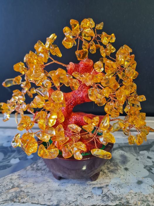 Bonsai da Prosperidade e abundância