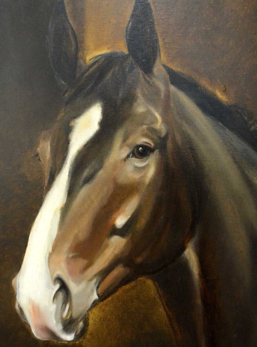 Koń Portret Obraz olejny na płótnie /Meble Stylowe Grodzisk Mazowiecki