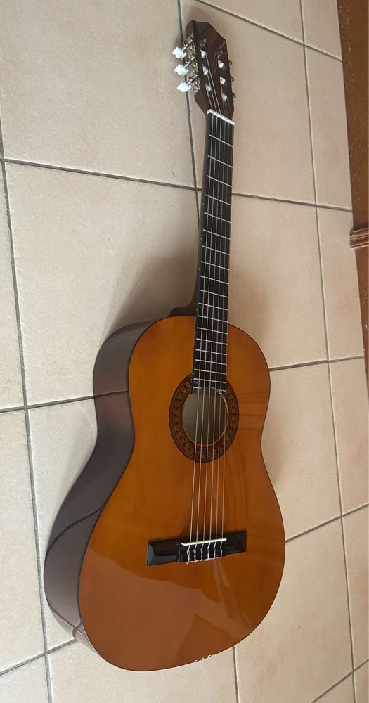 Viola clássica da Stagg