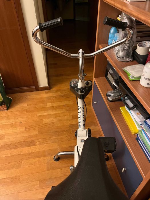 Bicicleta ergométrica