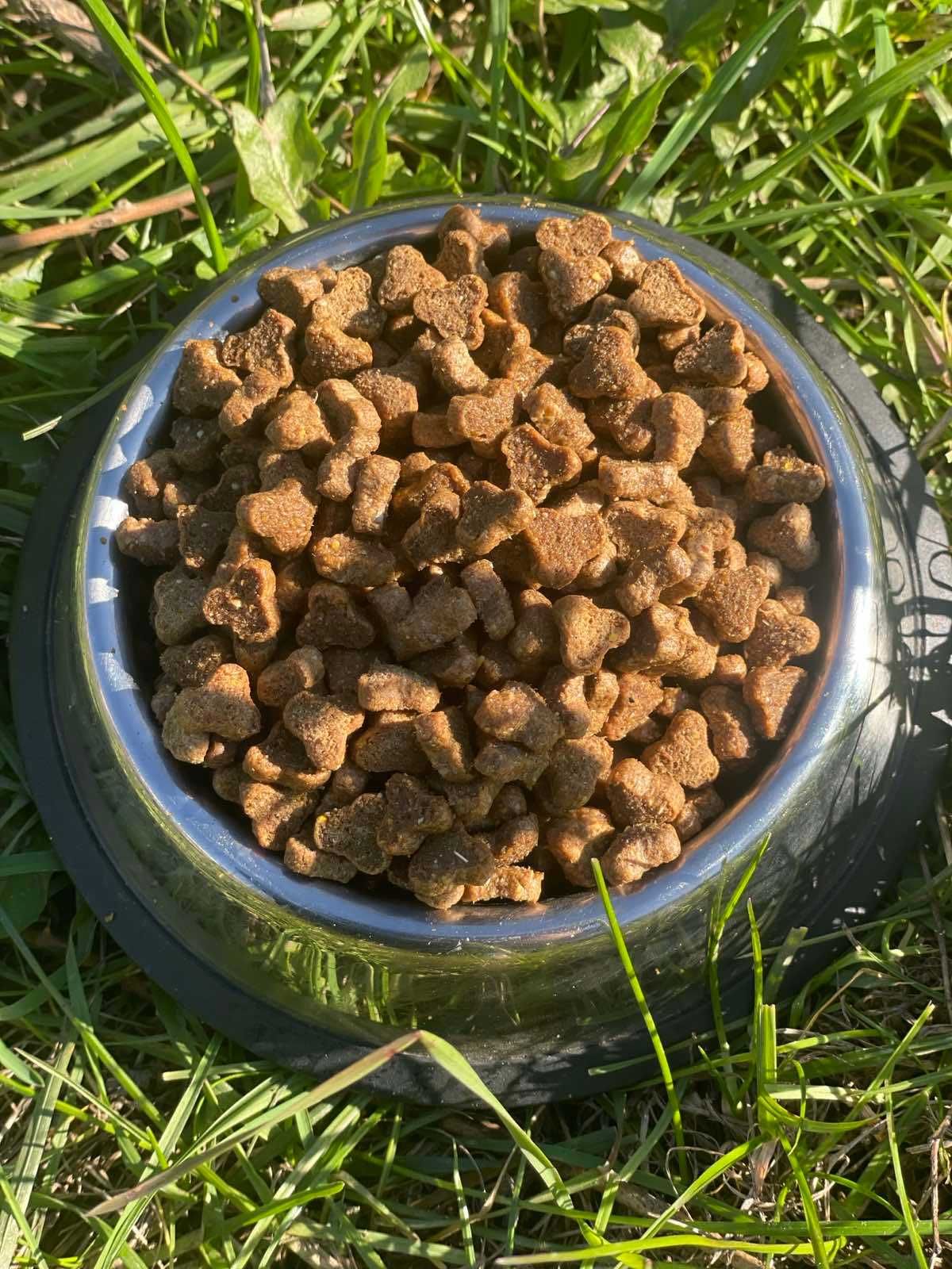 АКЦІЯ Сухий корм для дорослих кішок Dasty м'ясний мікс 10 кг
