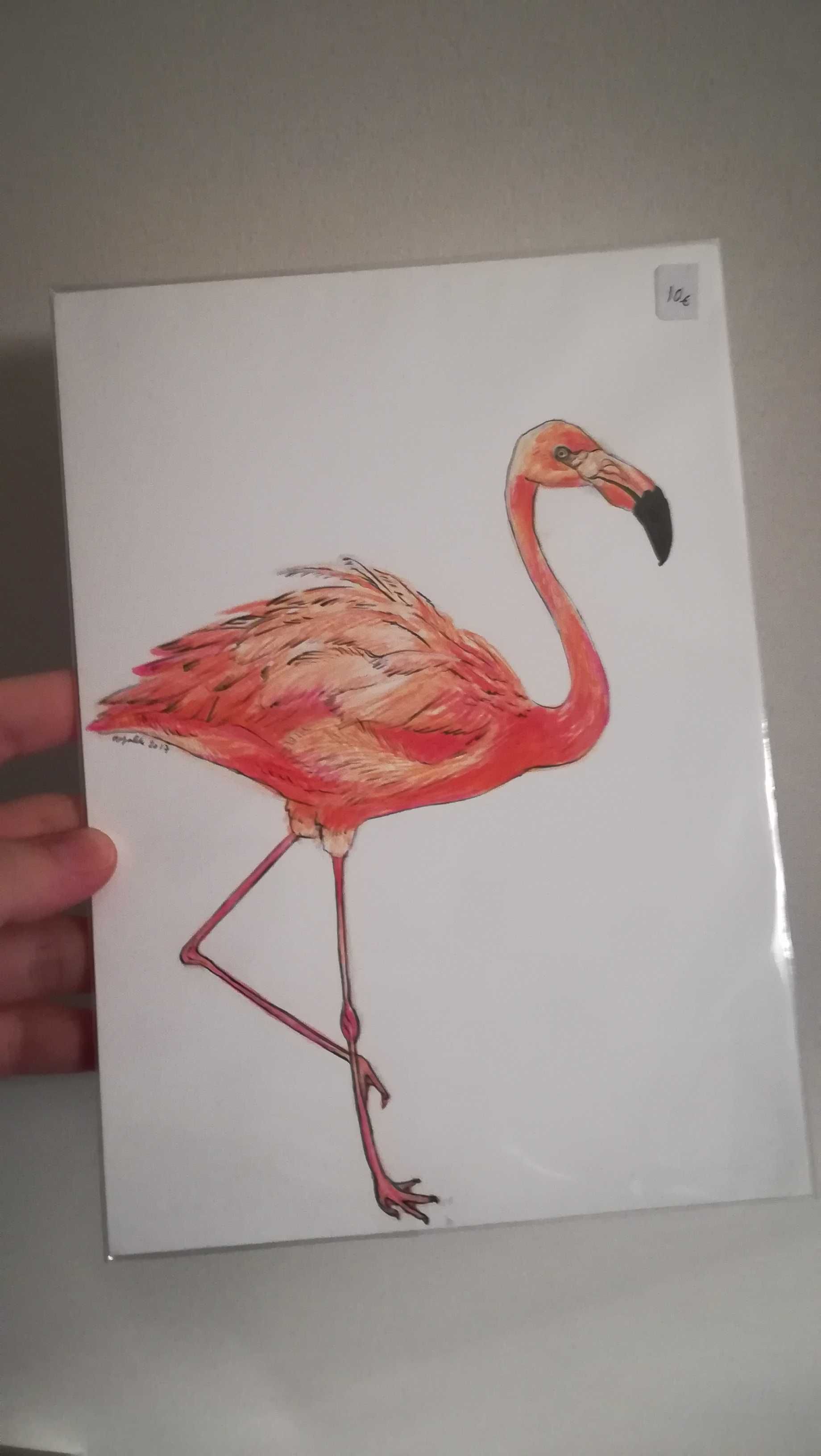 Ilustração desenho pintura original flamingo - NOVO
