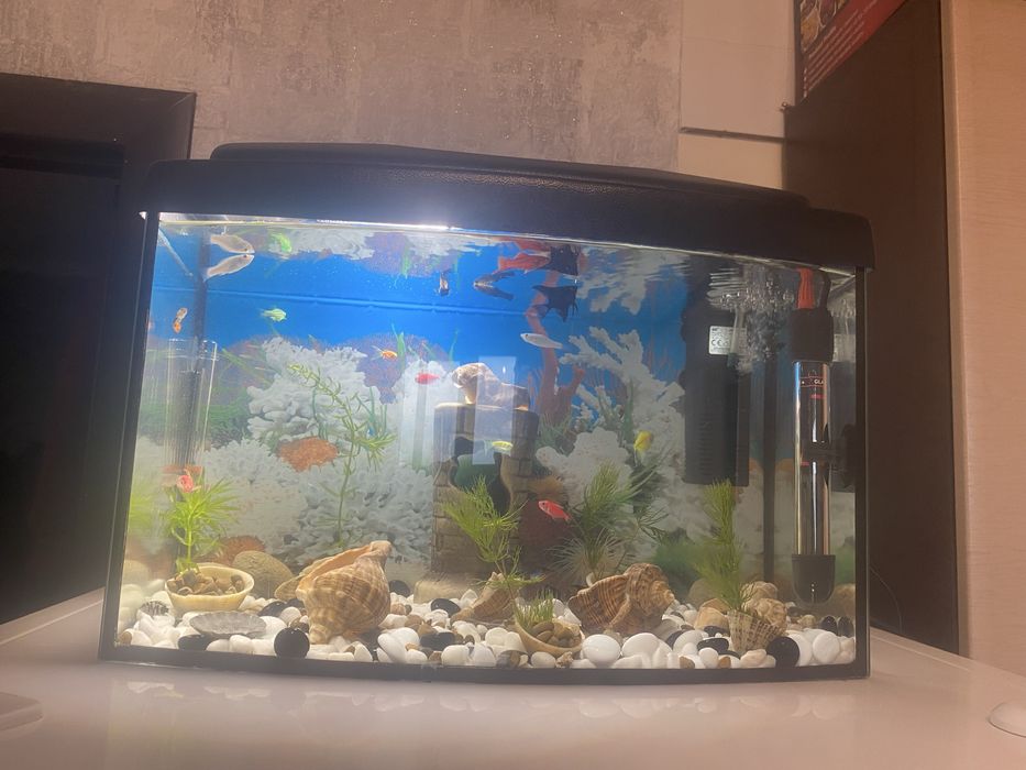 Продам Акваріум 22 литра