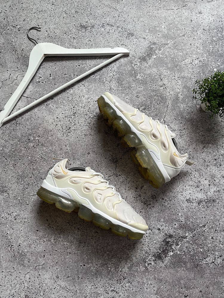 Чоловічі Кросівки Nike Vapormax Plus Tn