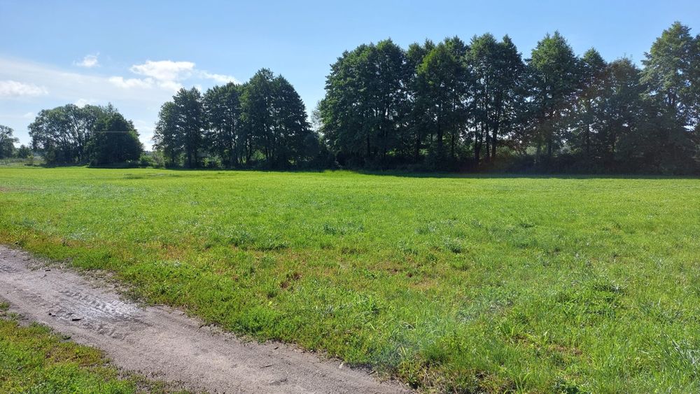Działka budowlana Gieski niechcice