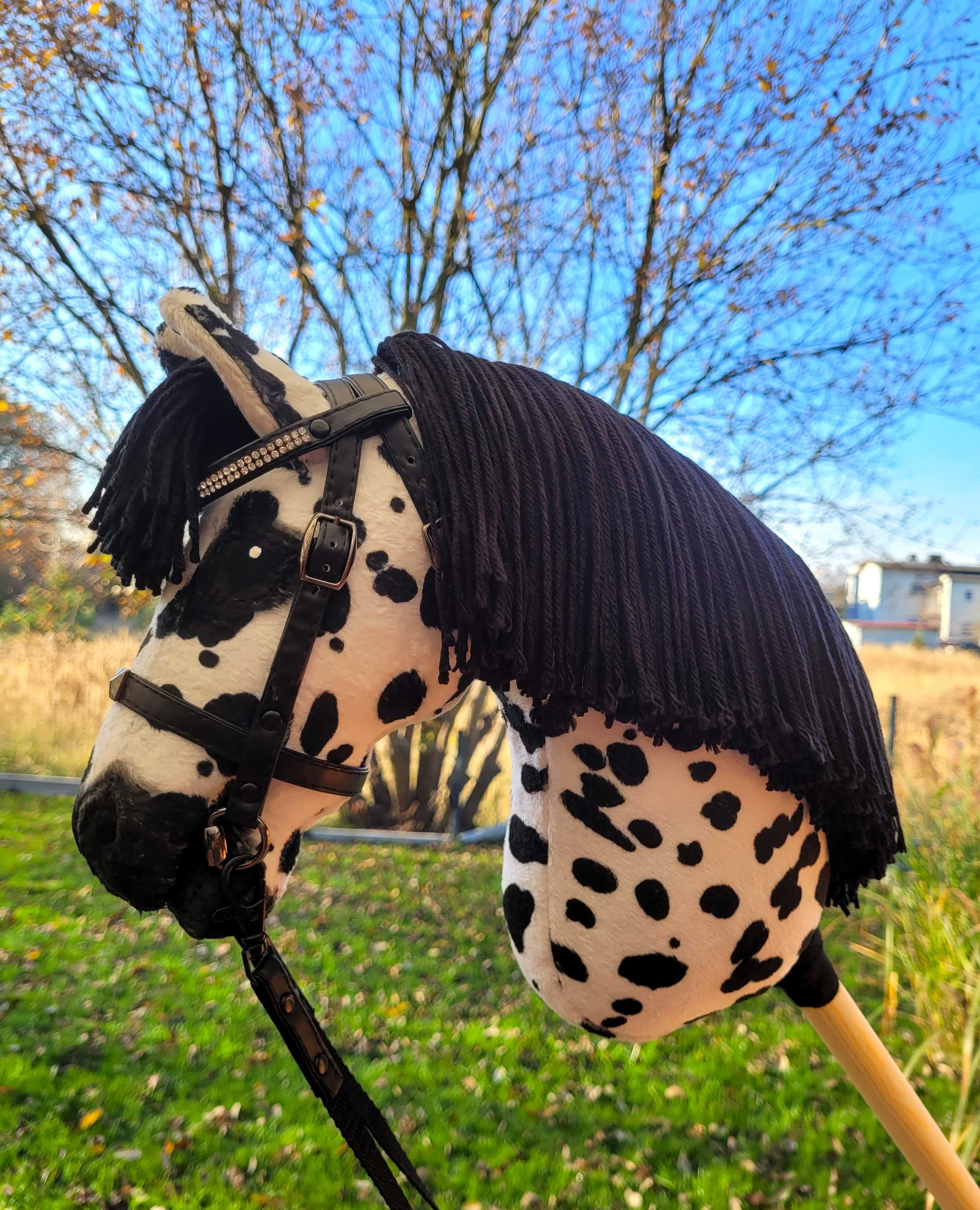 Hobby Horse, Konik na kiju, lekki, A4 do skoków #180