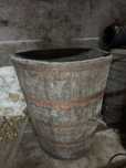 Balseiro/dorna vinho