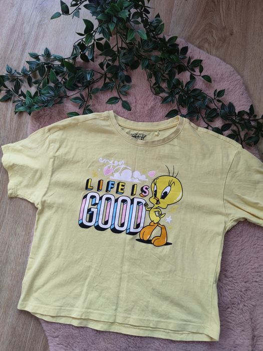 T-shirt Cool Club 146 crop top