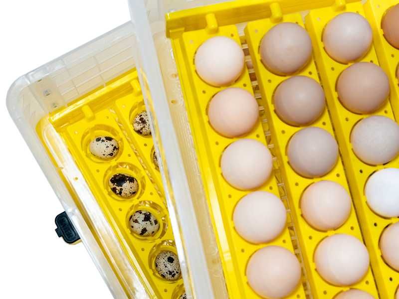 Inkubator do DROBIU FULL AUTOMAT Do 112Jaj +prześwietlarka MEGA ZESTAW