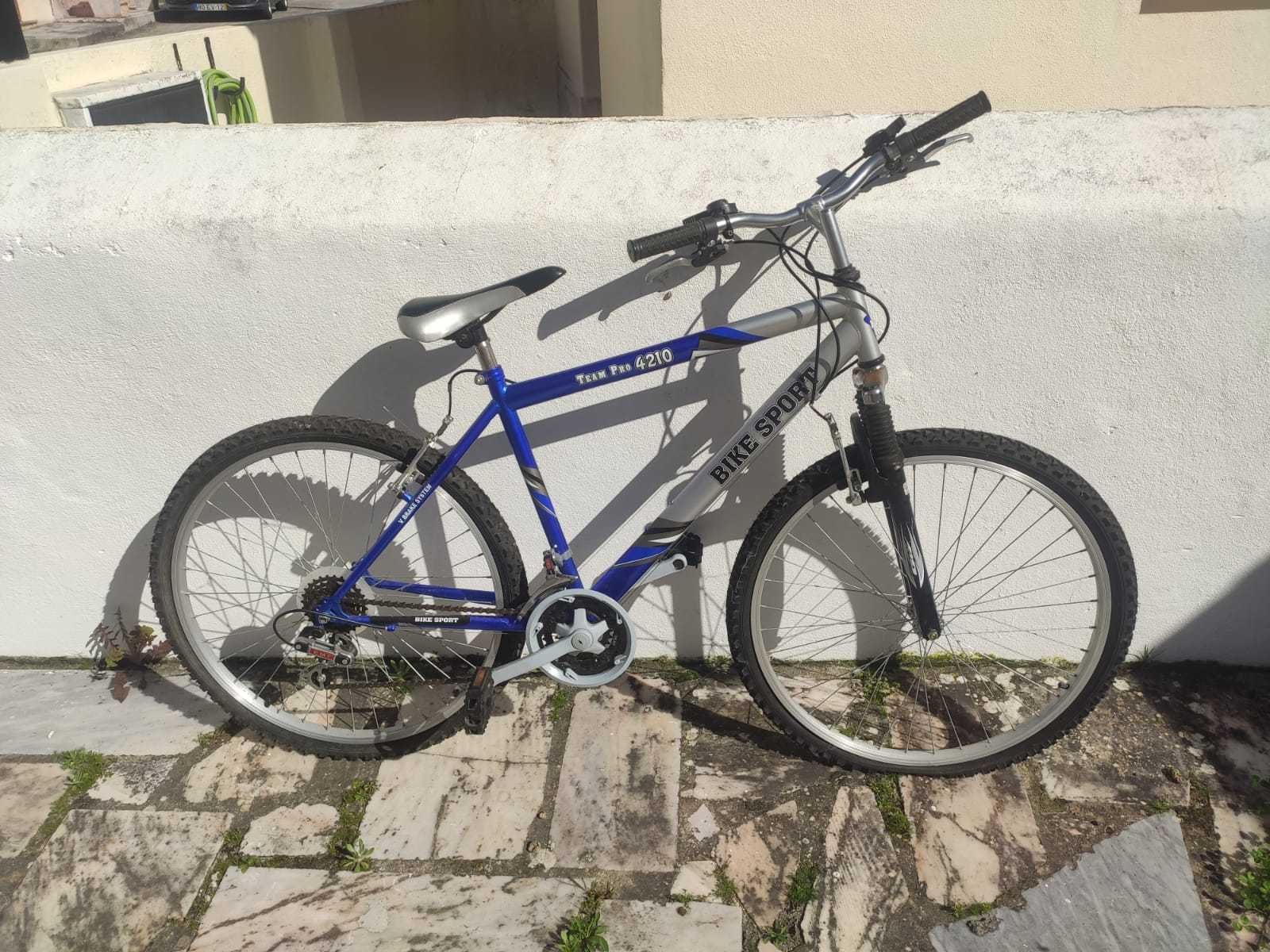 Vendo bicicleta TEAM PRO 4210