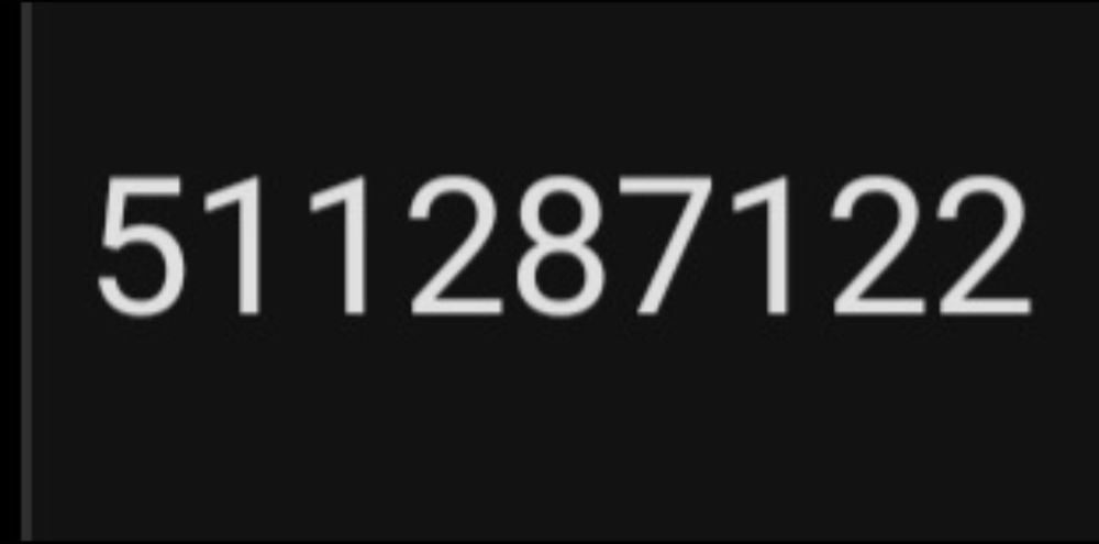 Gołębie staropolskie: para 10