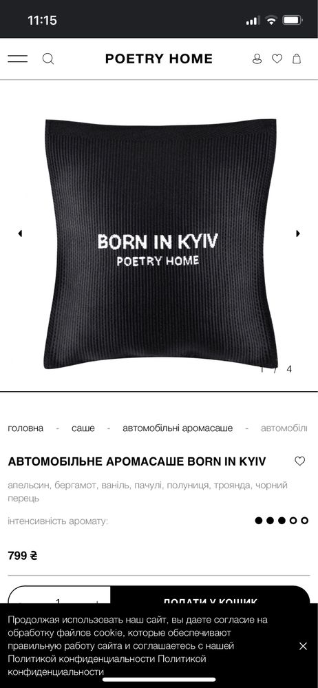 Аромасаше автомобільне BORN IN KYIV