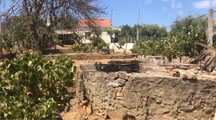 Vendo Terreno urbano e agricola com casa e anexo com agua e luz