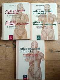 Atlas anatomii człowieka tom 1 oraz 2 wraz z indeksem
