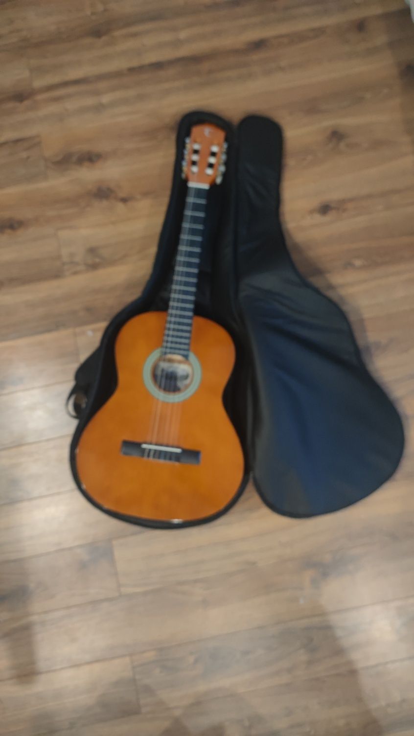 Gitara tanglewood DBT 34