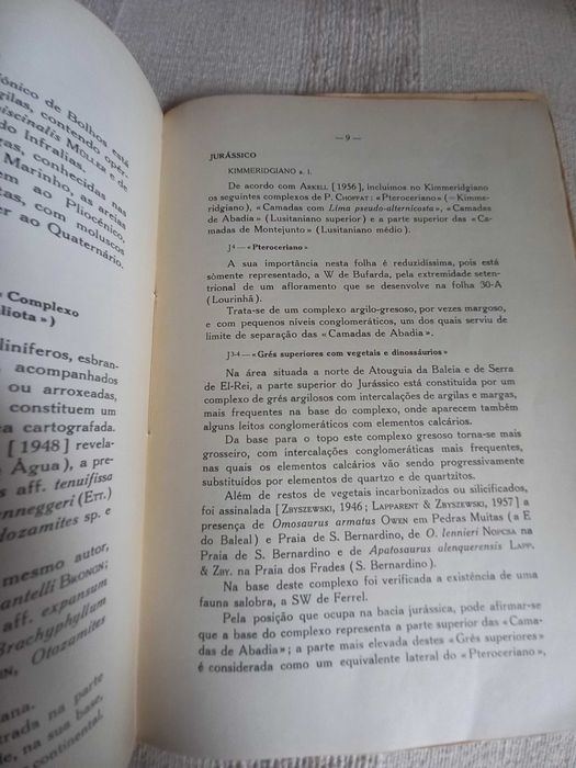 carta geológica de Peniche anos 60