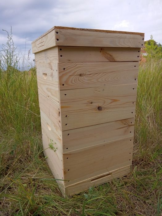 Вулик Дадан, вулики Дадан