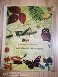 Od wiosny do wiosny s. Szuchowa nasza księgarnia