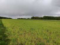 Chocznia | 948 m² Budowlana | MPZP | Media | Widokowa Okolica