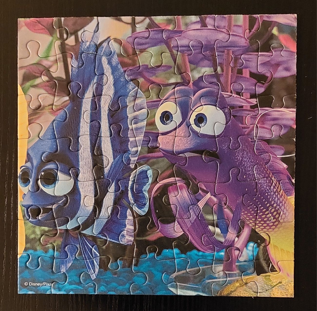 Puzzle Finding Nemo