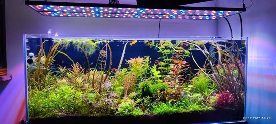 Oświetlenie do akwarium Power LED - na wymiar - FV - Gwarancja