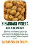 Ziemniaki vineta z własnego gospodarstwa