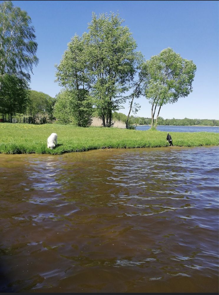 Wynajmę Domek Letniskowy