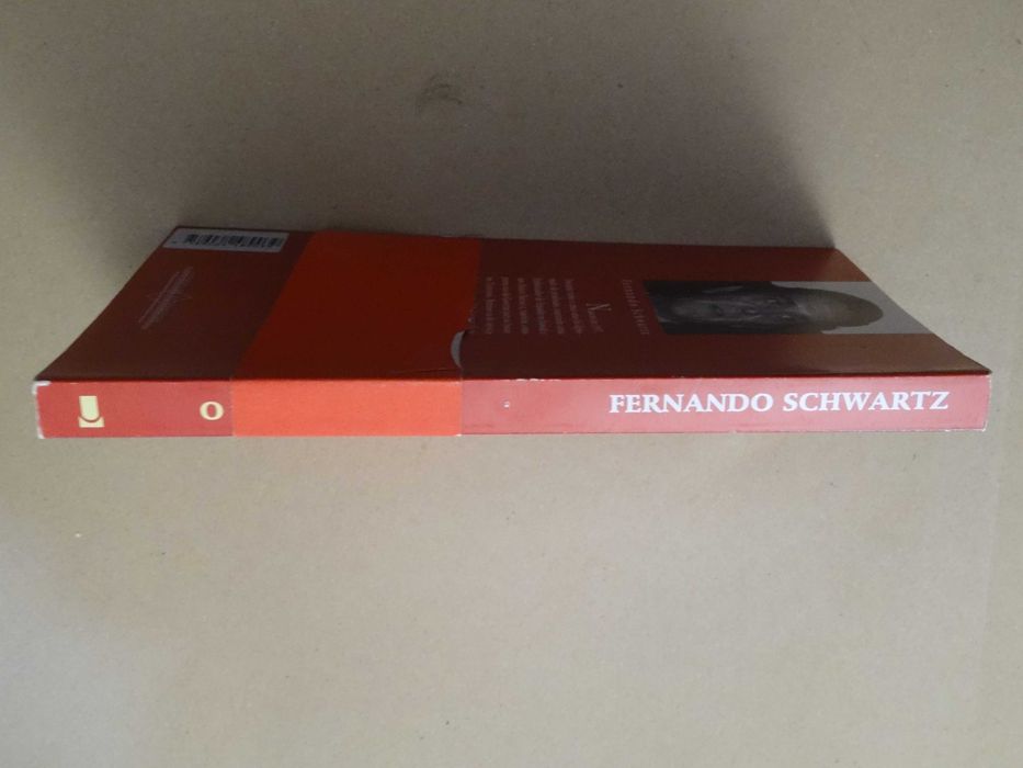 O Desencontro de Fernando Schwartz