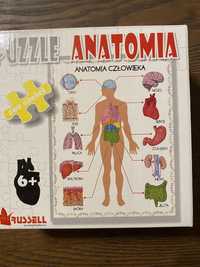 Puzzle anatomia człowieka stan idealny