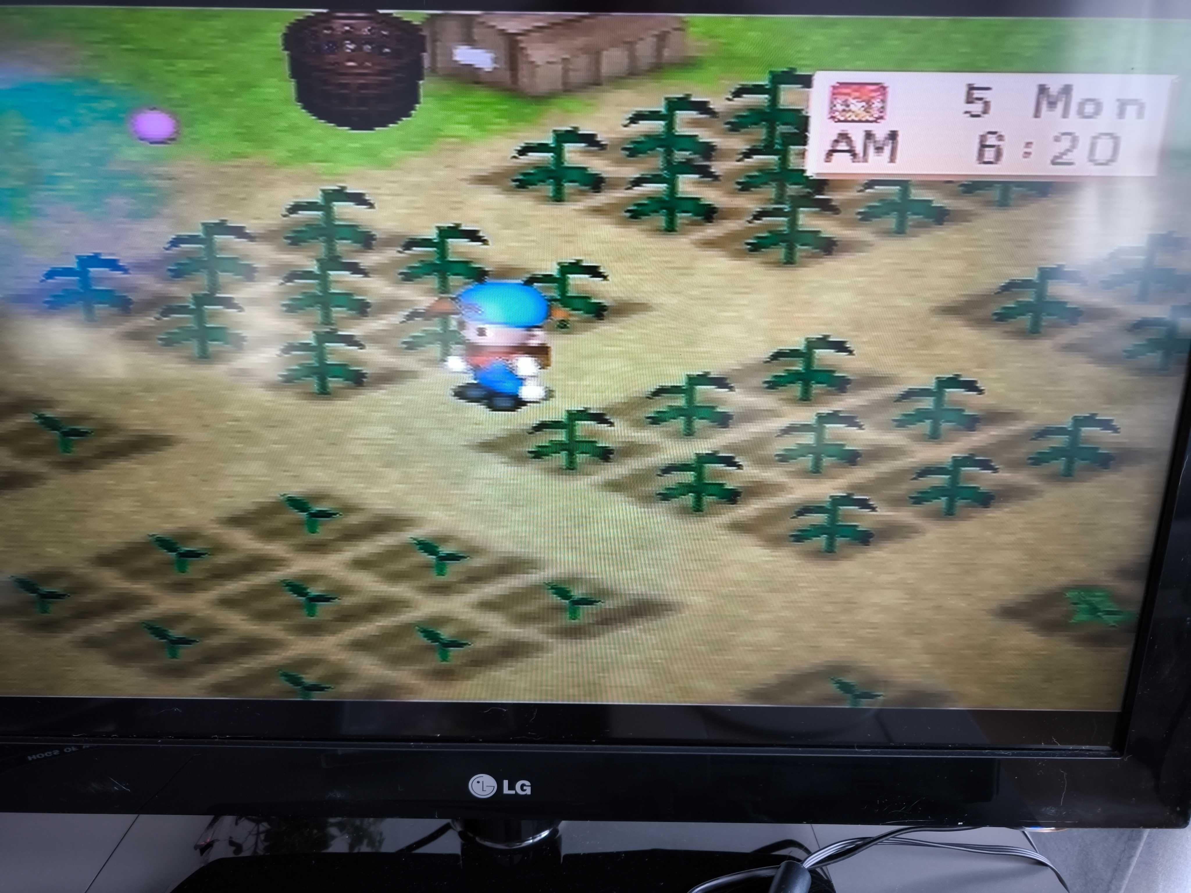 Harvest Moon Back to Nature Ps1 PSX Playstation