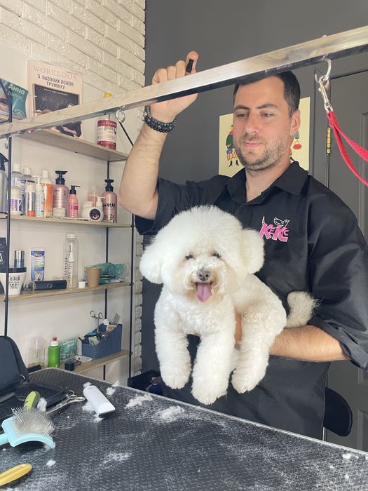 Ваш Грумер | Стрижка собак | Догляд за собаками