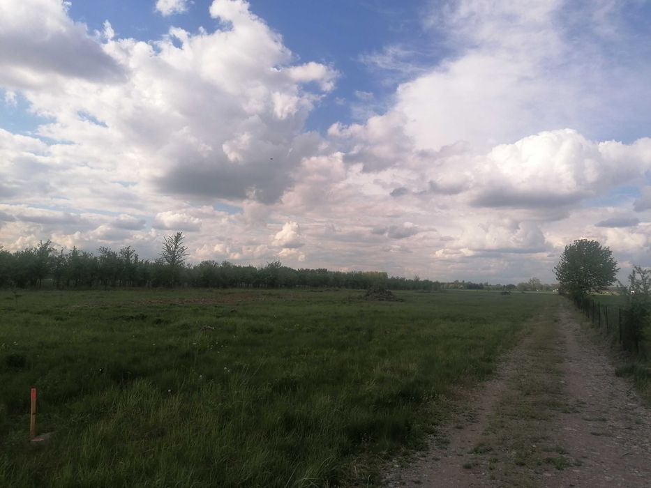 Działka budowlana. Słupca, 1,5km od centrum, Koszuty Małe. WODA!!!