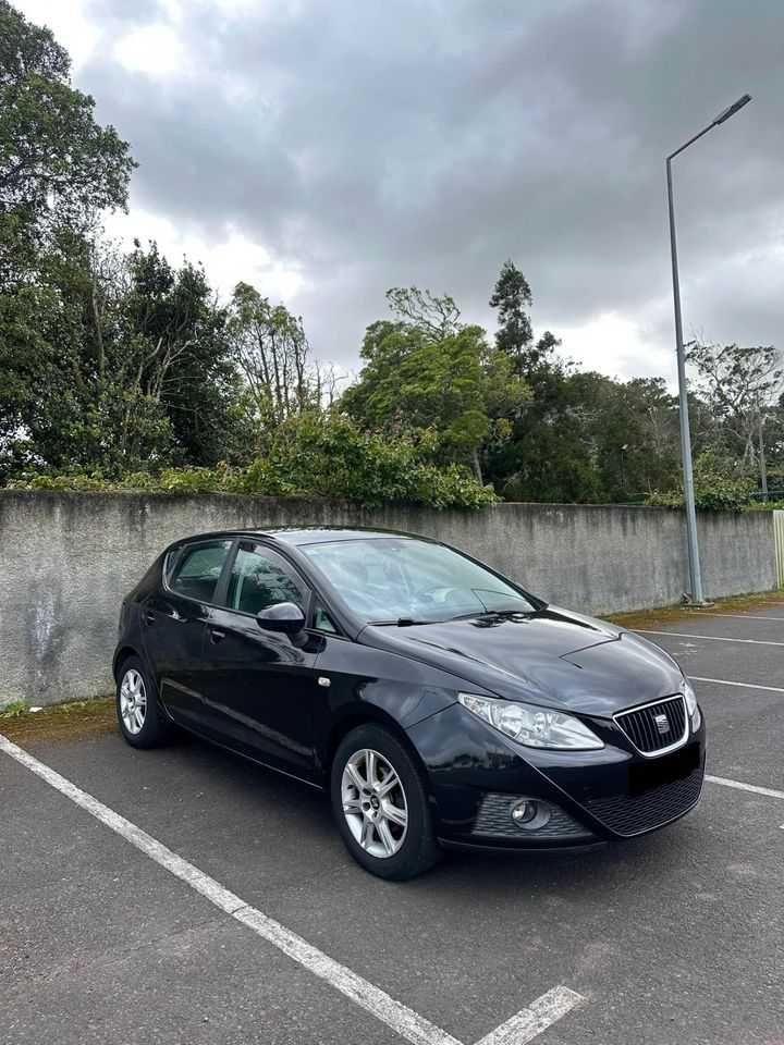 Seat Ibiza 6j 2010