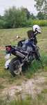 Kawasaki KLE  500 rok 1998