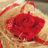 Wieczna róża w ozdobnym pudełku na prezent