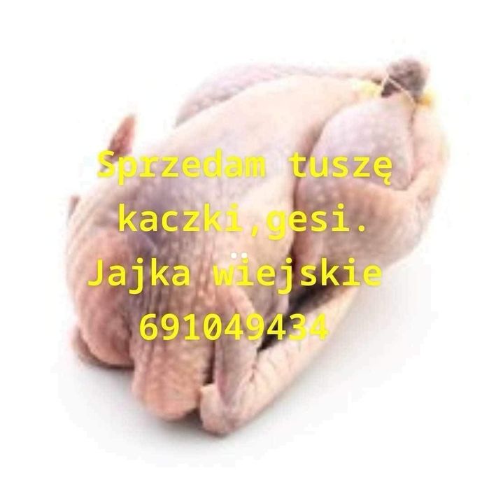 Sprzedam  gęsi wiejskie