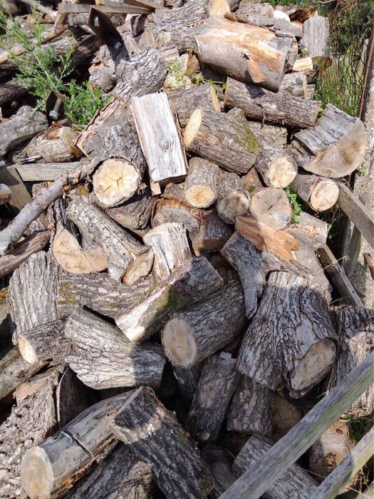 Drzewo opalowe Buk Dab Transport