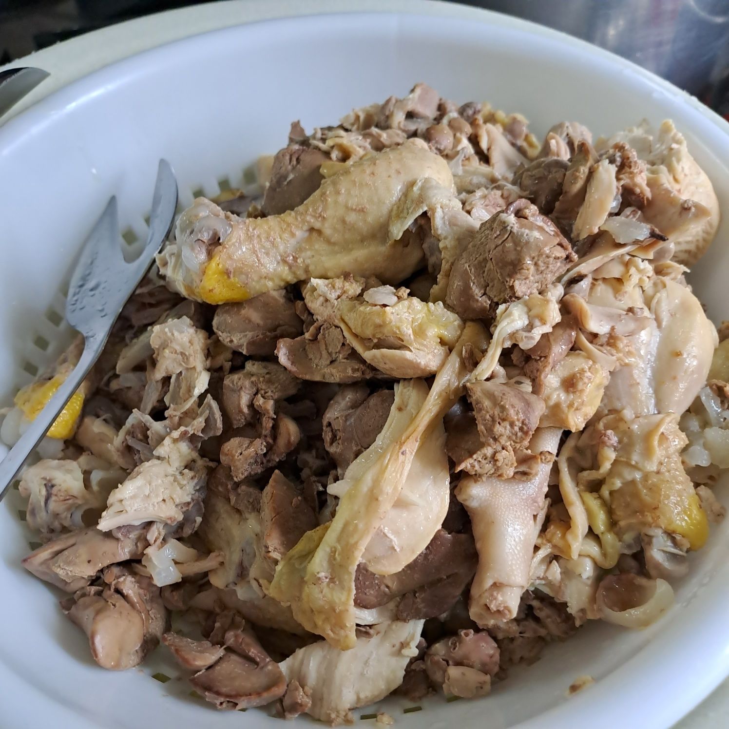 Comida caseira para cão