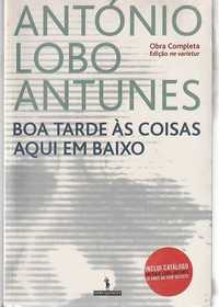 Boa tarde às coisas aqui em baixo-António Lobo Antunes-Dom Quixote