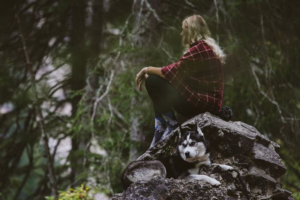 Wesołe skarpetki - O wilku mowa 44-46