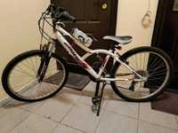 Велосипед підлітковий Orbea Loopy 24'