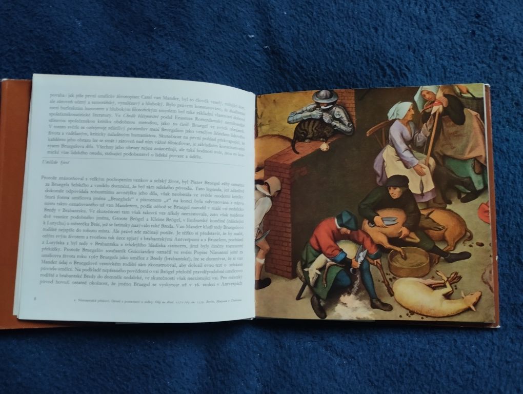 Pieter Bruegel. Album o sztuce