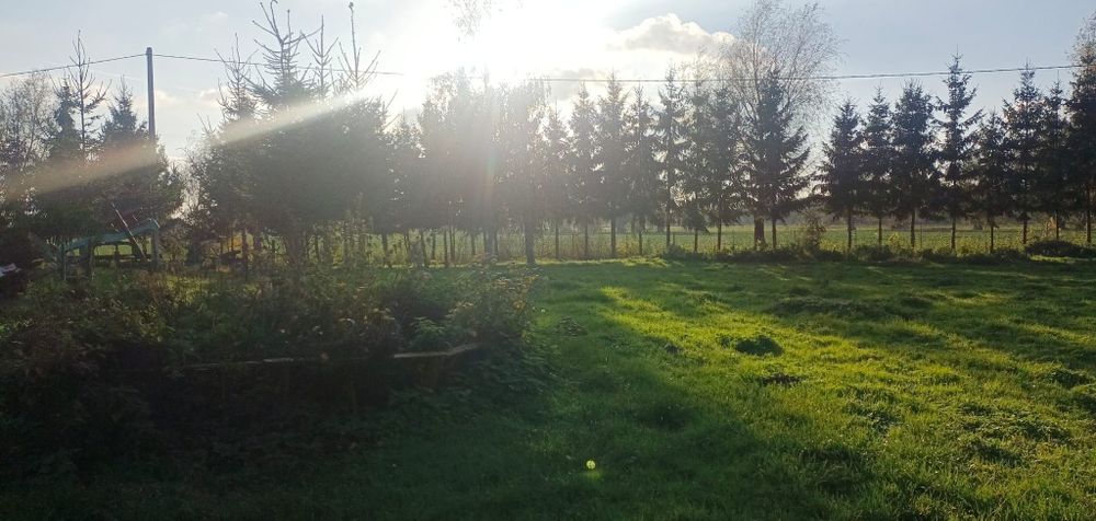 Piękna działka budowlana z warunkami zabudowy w Janowie, 8 km od E-ga