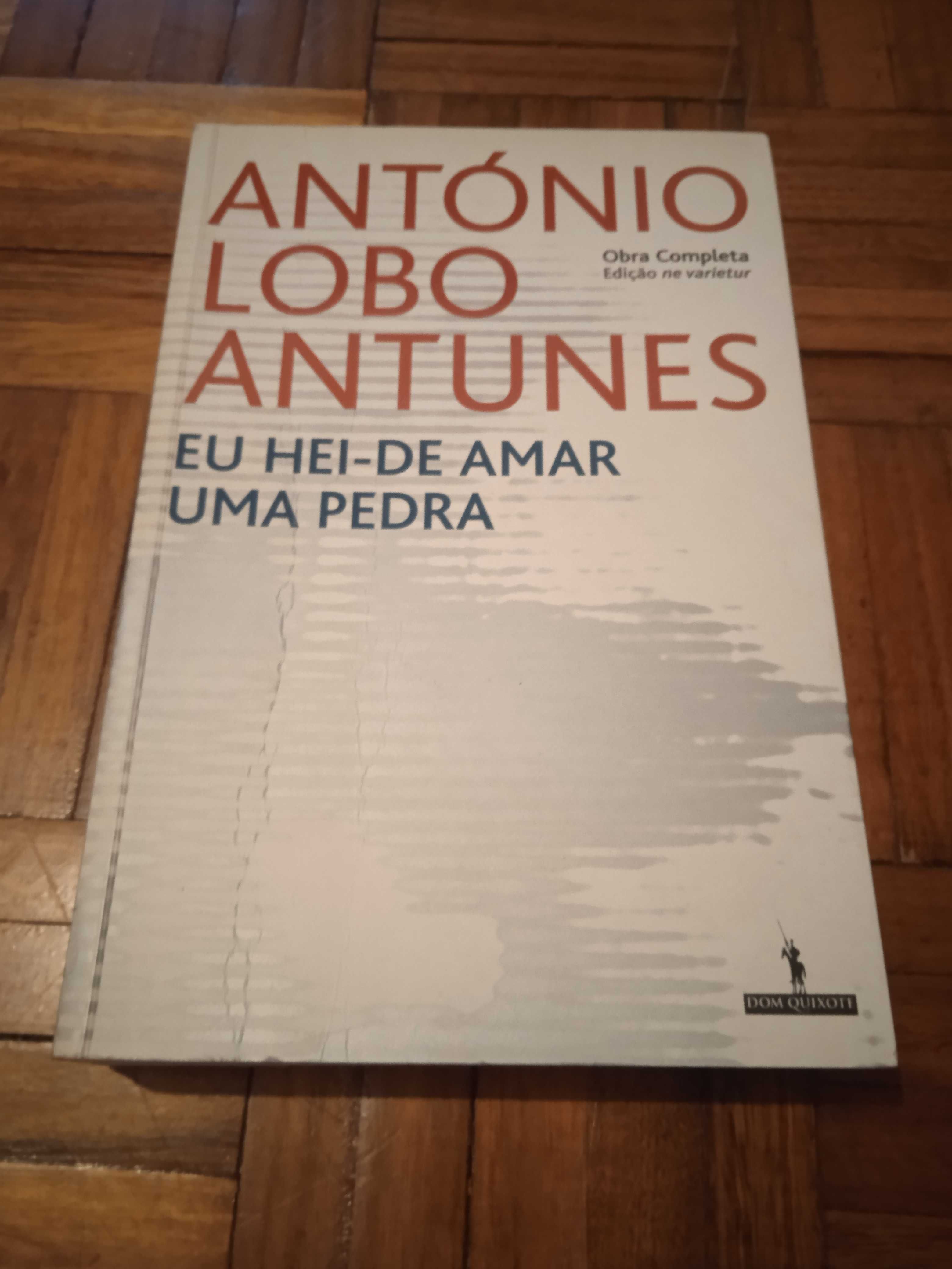 Eu Hei-de Amar Uma Pedra - António Lobo Antunes